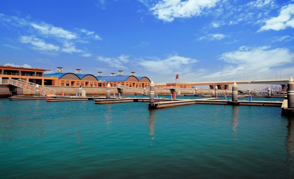 سوق المرفأ يستعد لاستضافة مهرجان دبي للحيوانات الأليفة 2022