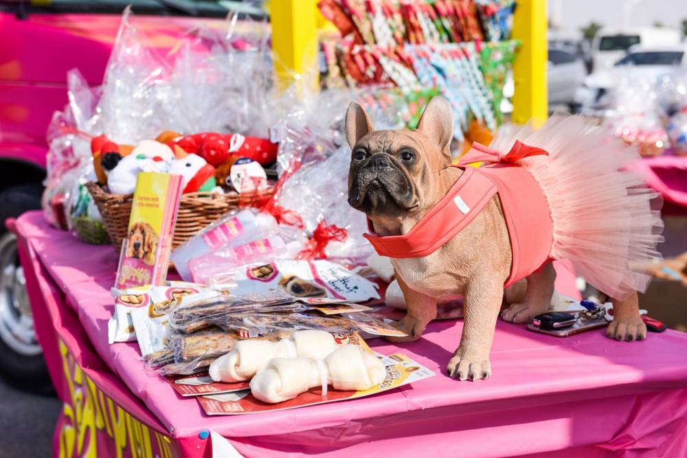 سوق المرفأ يستعد لاستضافة مهرجان دبي للحيوانات الأليفة 2022