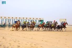 ميدان فروسية الأحساء يُقيم سباقه الـ 19 للموسم الحالي