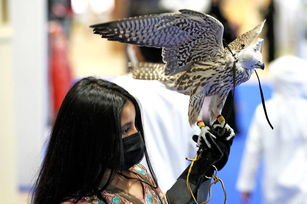 انطلاق الدورة الـ 19 من معرض أبوظبي الدولي للصيد والفروسية في 26 سبتمبر