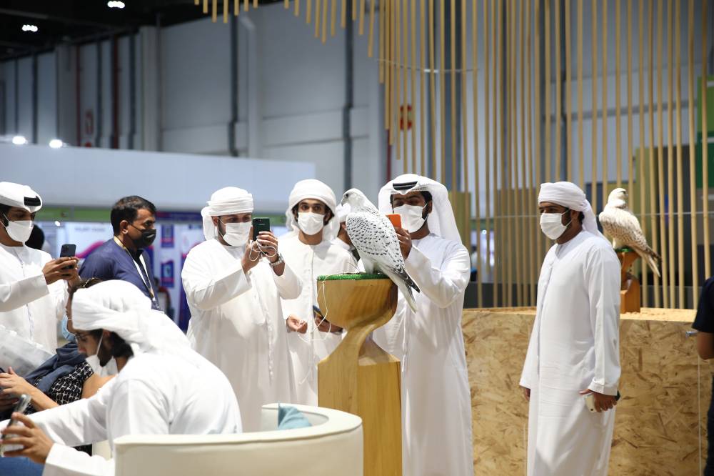 انطلاق الدورة الـ 19 من معرض أبوظبي الدولي للصيد والفروسية في 26 سبتمبر