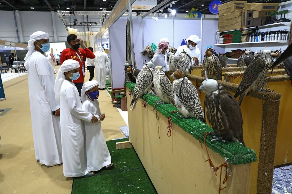 انطلاق الدورة الـ 19 من معرض أبوظبي الدولي للصيد والفروسية في 26 سبتمبر