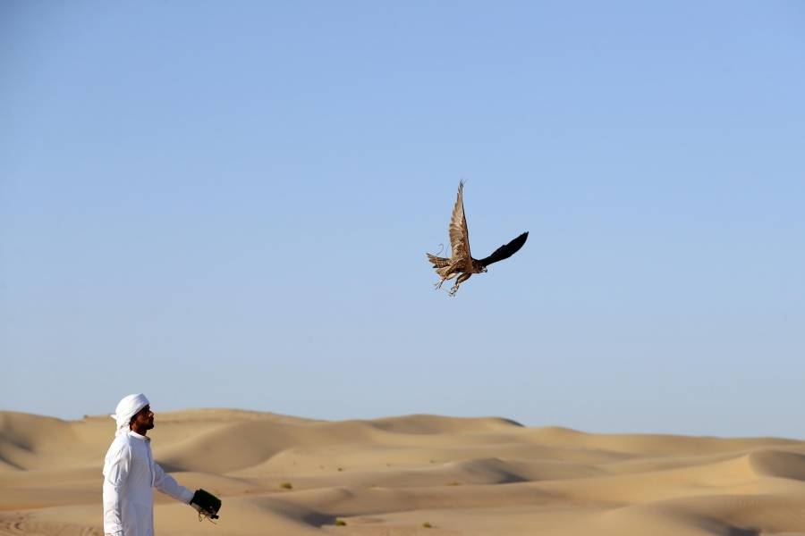 محمية المرزوم بأبوظبي تستقبل 1500 زائر خلال موسم الصيد التقليدي 2021 – 2022