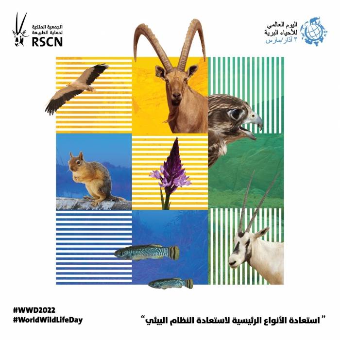 الاحتفال باليوم العالمي للأحياء البرية  الأردن تنوع في الأحياء البرية أنتجه الطبيعة المتميزة والفريدة