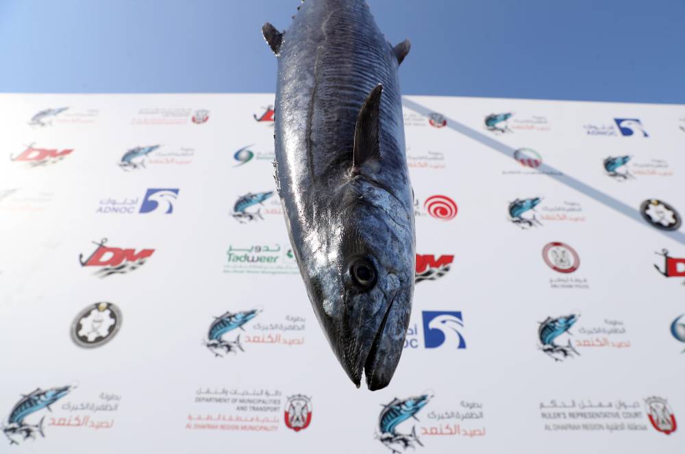 بطولة الظفرة الكبرى لصيد الكنعد للرجال والنساء تنطلق بمحطتها الثالثة في 17 مارس الجاري