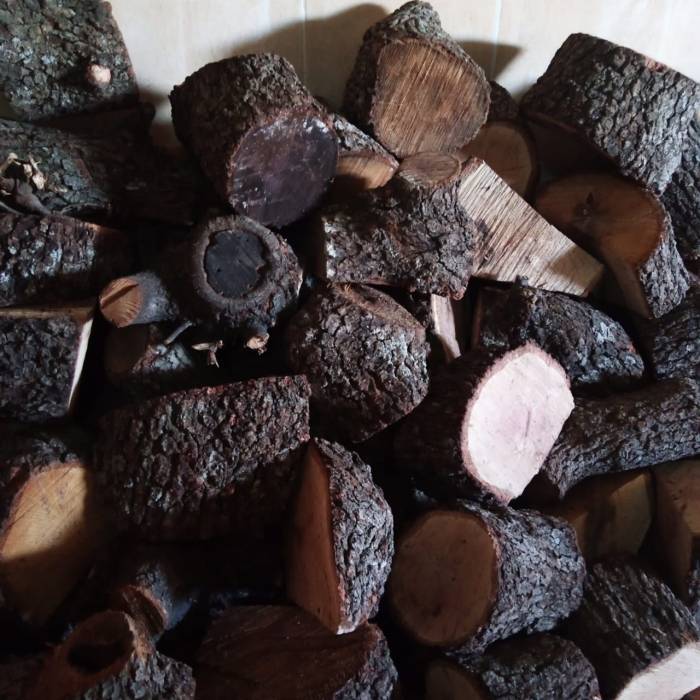 يسرى أبو عنيز تكتب : ارتفاع تكاليف الحياة وبرودة الطقس المواطن الأردني يلجأ للتحطيب