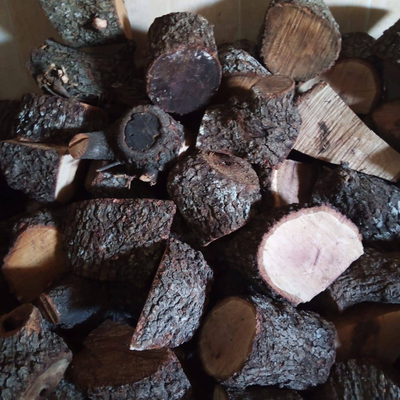 يسرى أبو عنيز تكتب : ارتفاع تكاليف الحياة وبرودة الطقس المواطن الأردني يلجأ للتحطيب