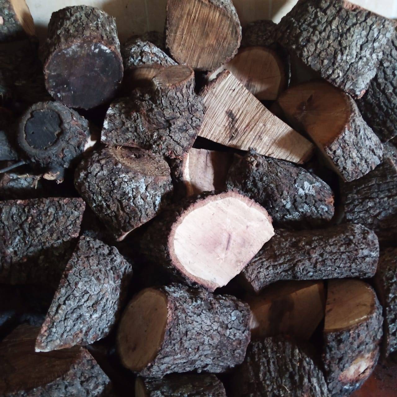 يسرى أبو عنيز تكتب : ارتفاع تكاليف الحياة وبرودة الطقس المواطن الأردني يلجأ للتحطيب