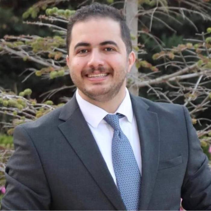 القضاه يكتب : نحو مجالس تسهم في نجاح الإدارة والتنمية المحلية في المحافظات.