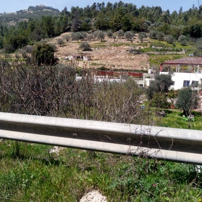 حركة تنزه نشطه في مناطق عجلون قبيل رمضان _ صور