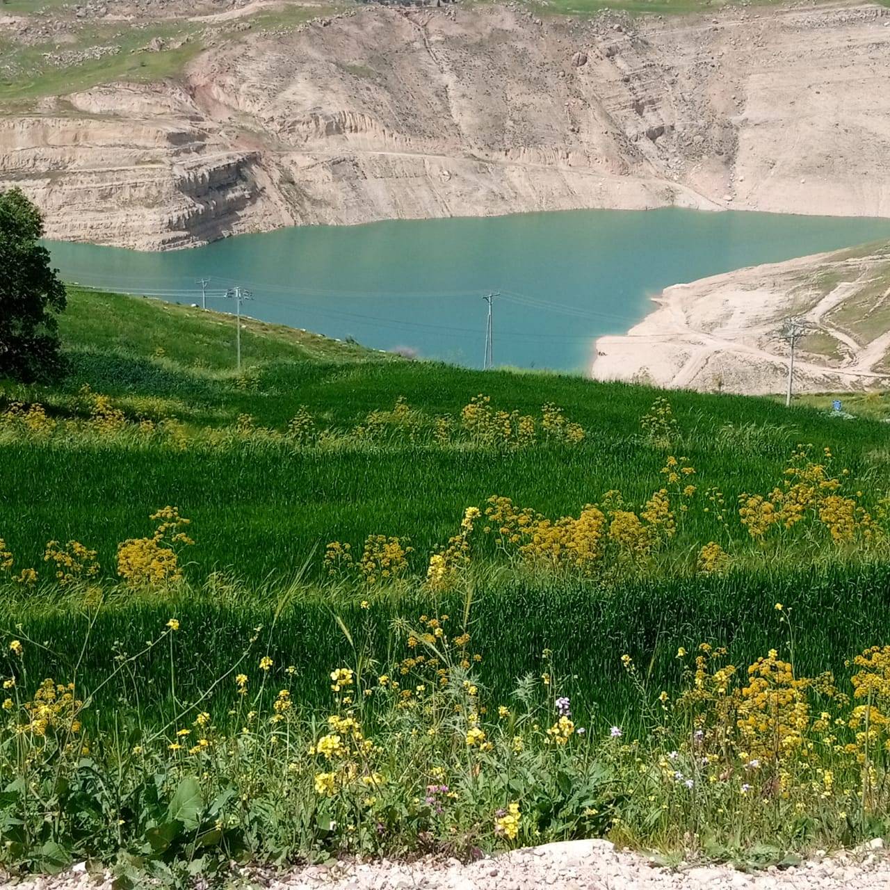  حركة تنزه نشطه في مناطق عجلون قبيل رمضان  صور 