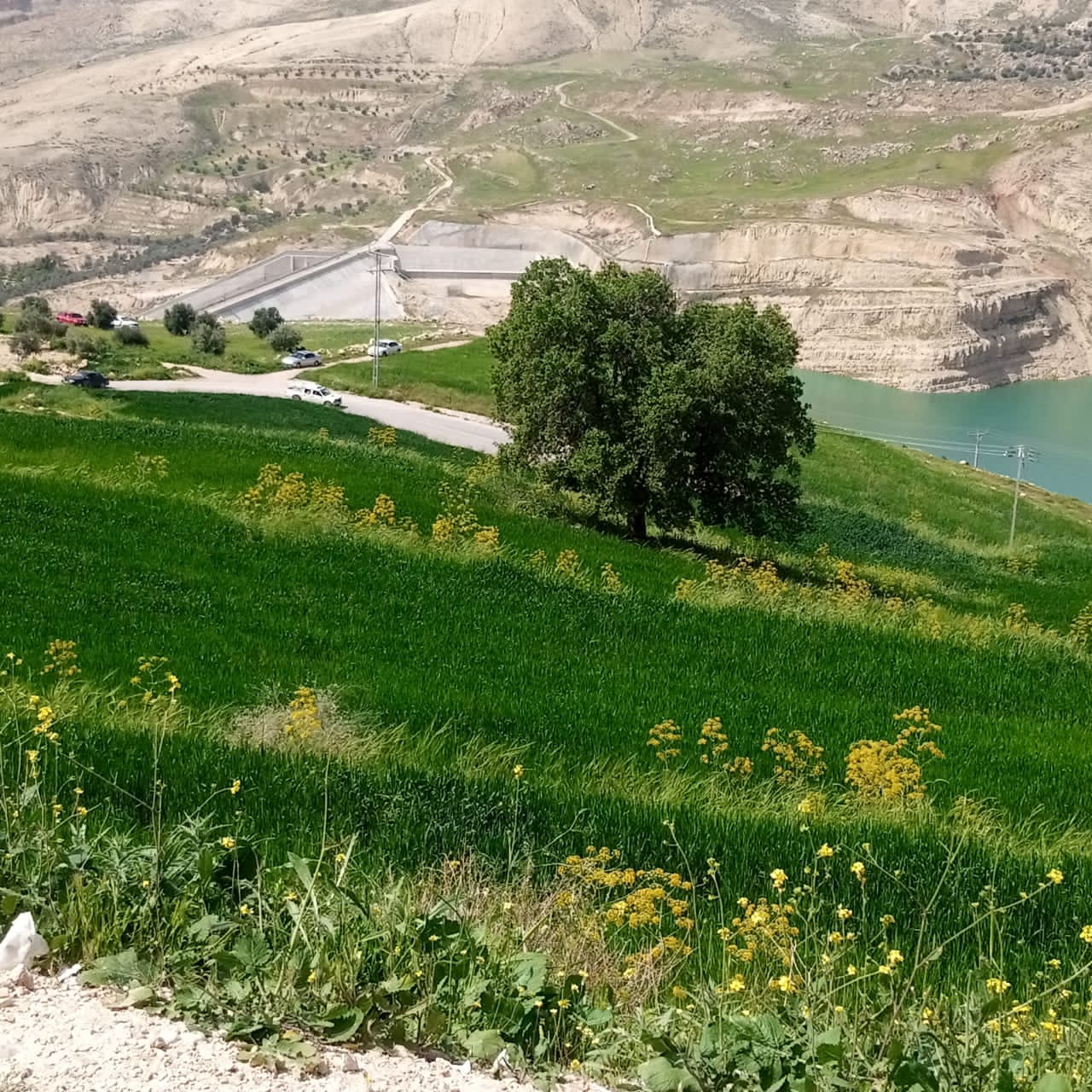  حركة تنزه نشطه في مناطق عجلون قبيل رمضان  صور 