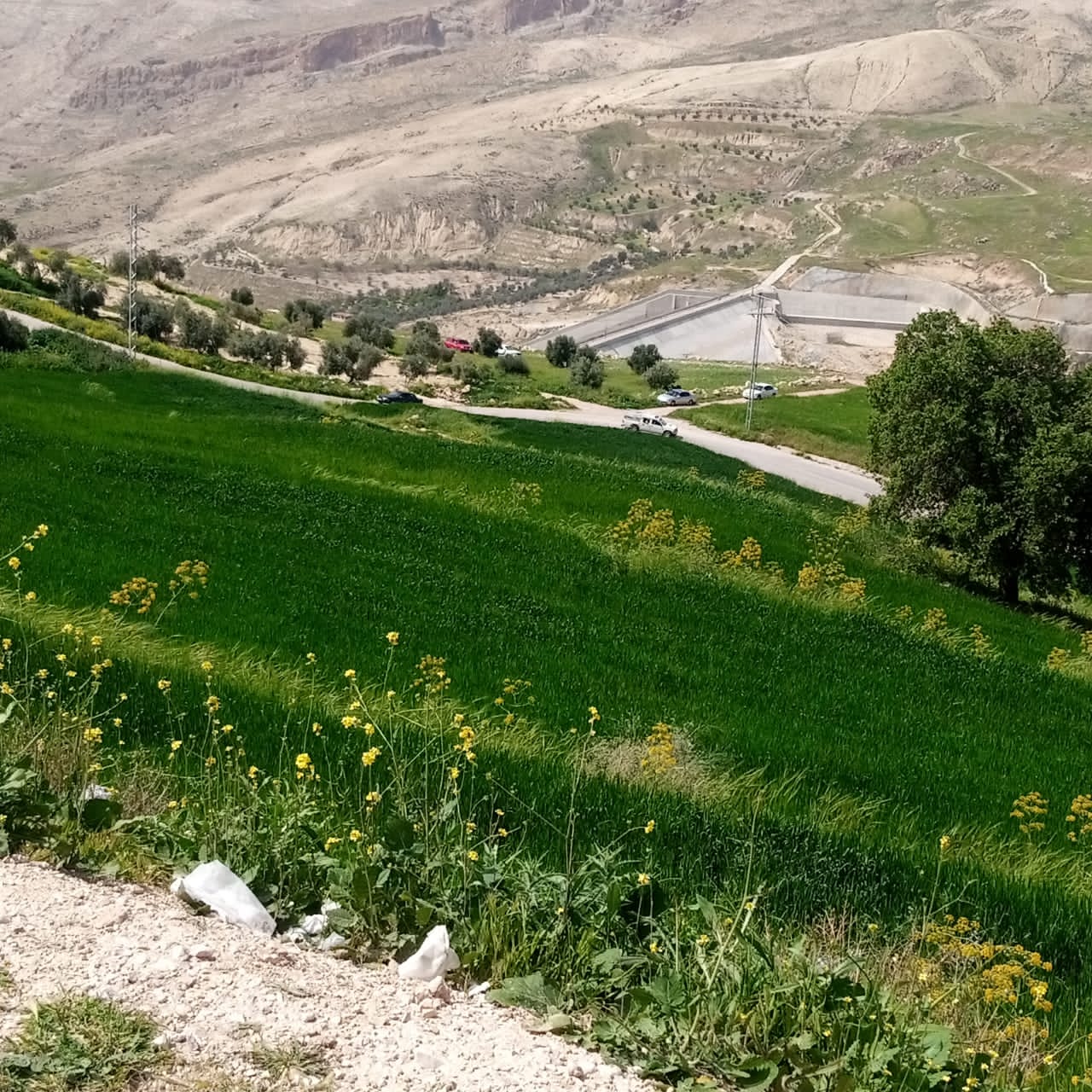  حركة تنزه نشطه في مناطق عجلون قبيل رمضان  صور 
