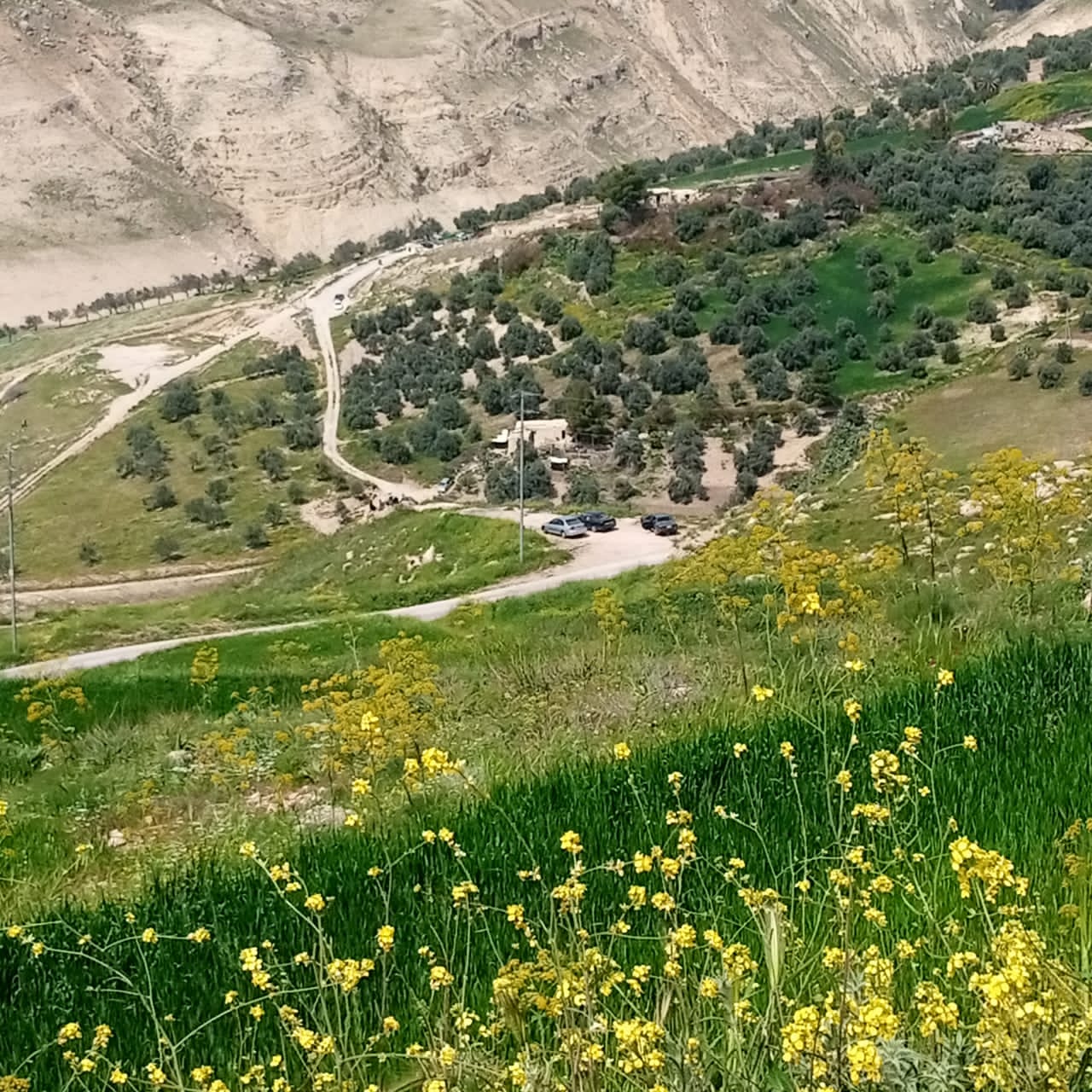  حركة تنزه نشطه في مناطق عجلون قبيل رمضان  صور 