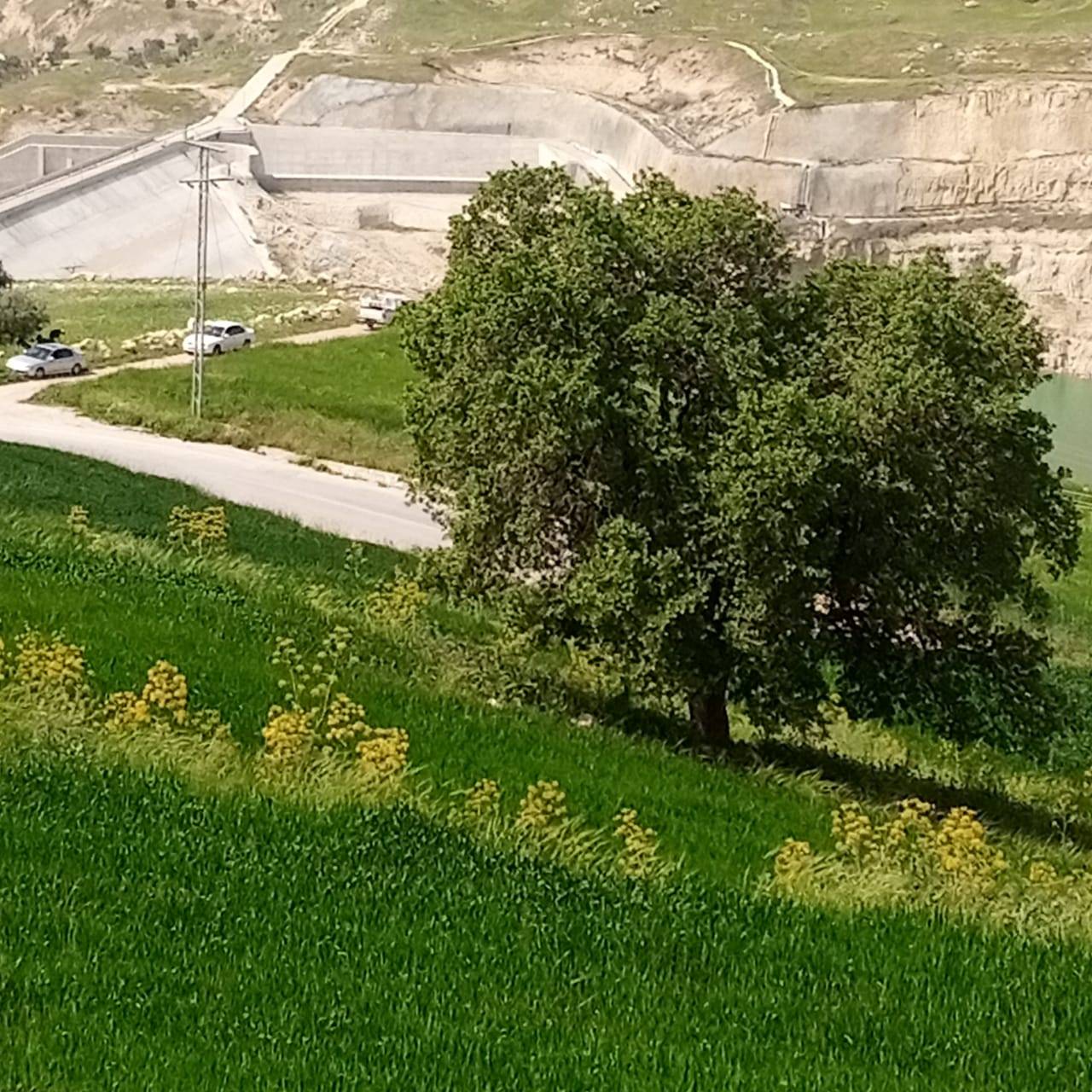  حركة تنزه نشطه في مناطق عجلون قبيل رمضان  صور 