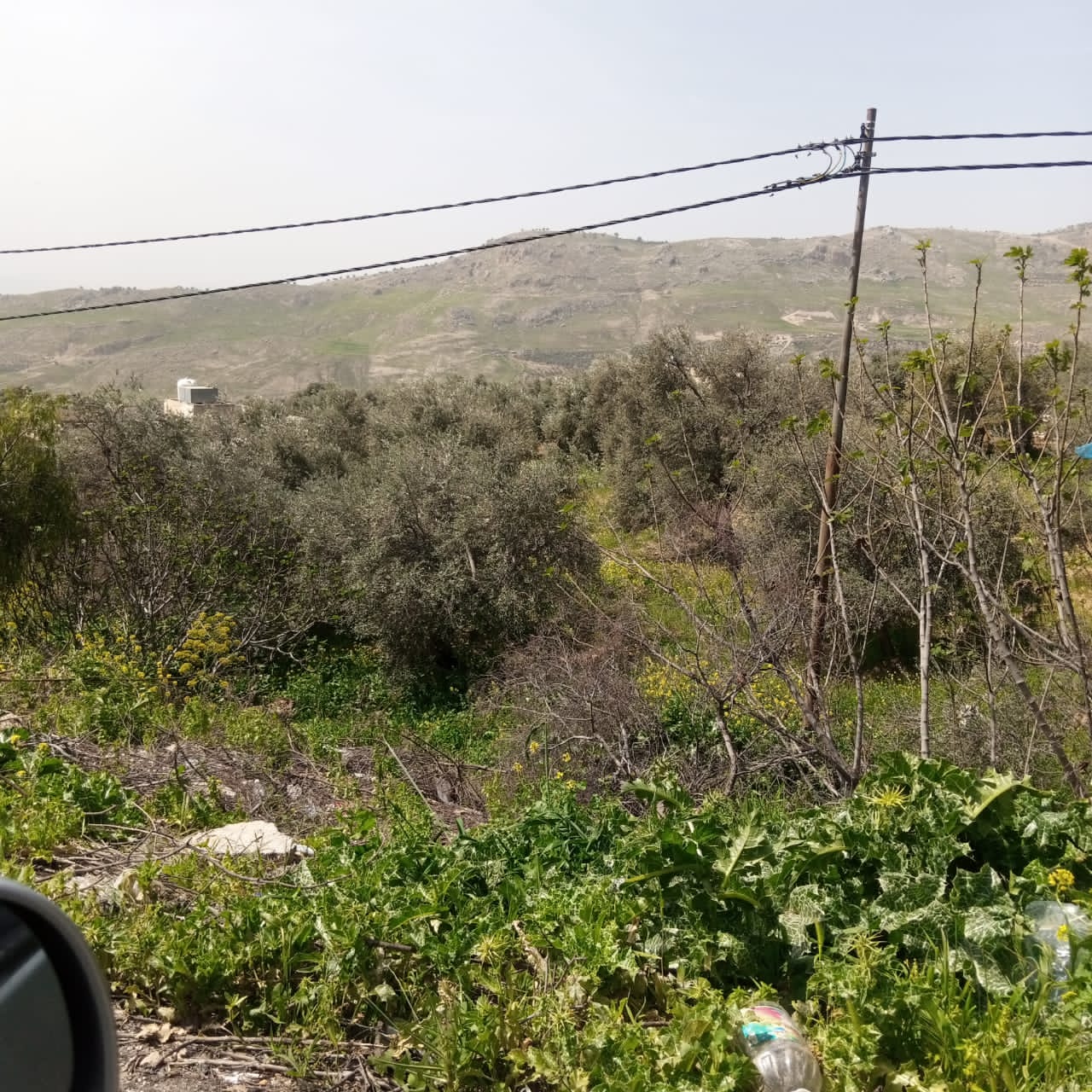  حركة تنزه نشطه في مناطق عجلون قبيل رمضان  صور 