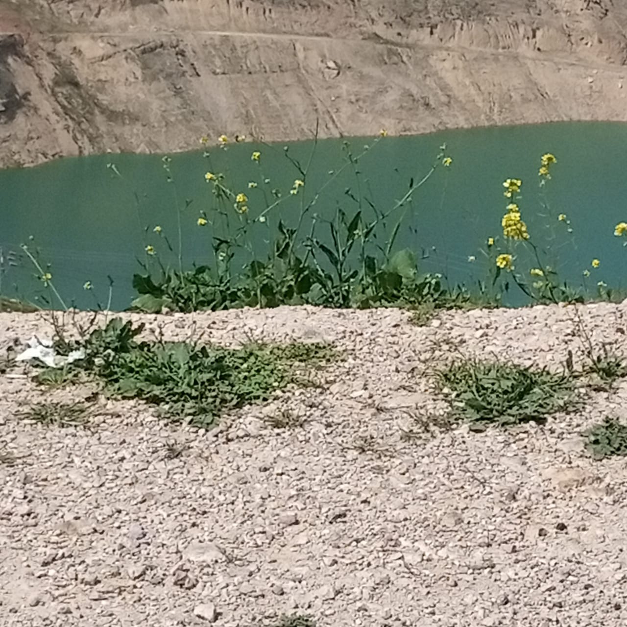  حركة تنزه نشطه في مناطق عجلون قبيل رمضان  صور 