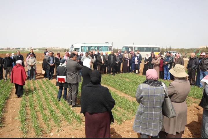 ورشة عمل في مركز المشقر للبحوث الزراعية حول  واقع زراعة الحبوب في مادبا  