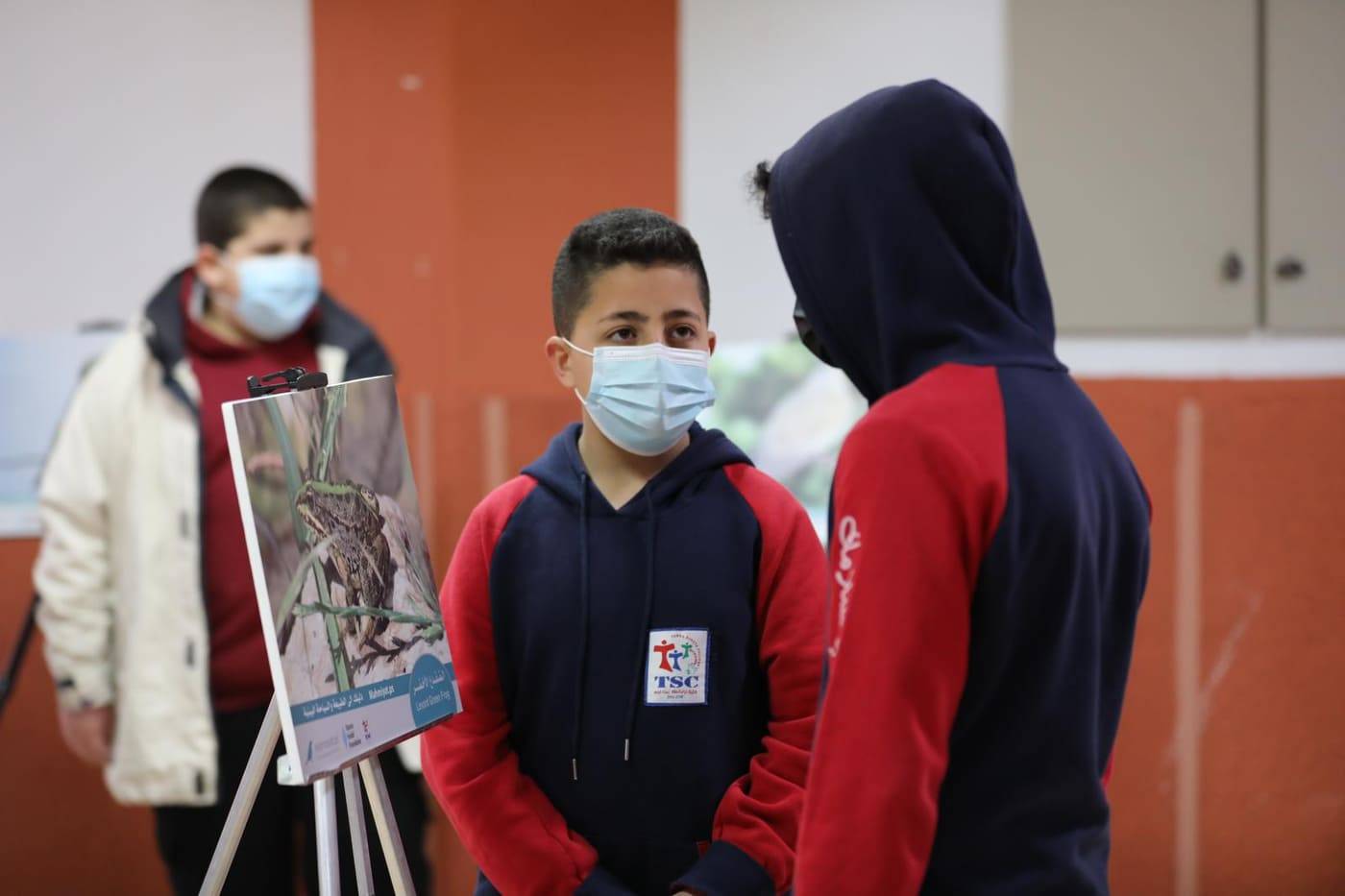 بيت لحم الاحتفال بقدوم طائر السمامة المهاجر اليها بفعاليات مختلفة