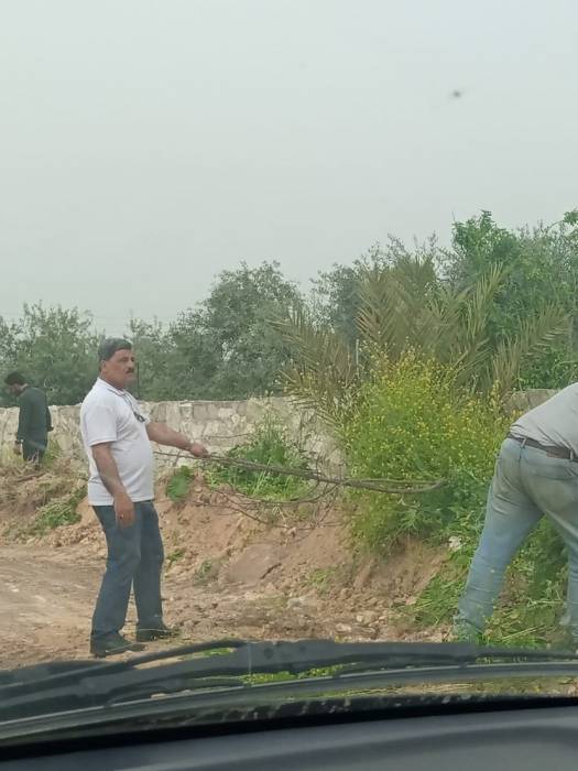 رئيس احدى بلديات اربد يشارك عمال الوطن في تنظيف اطراف الطرق