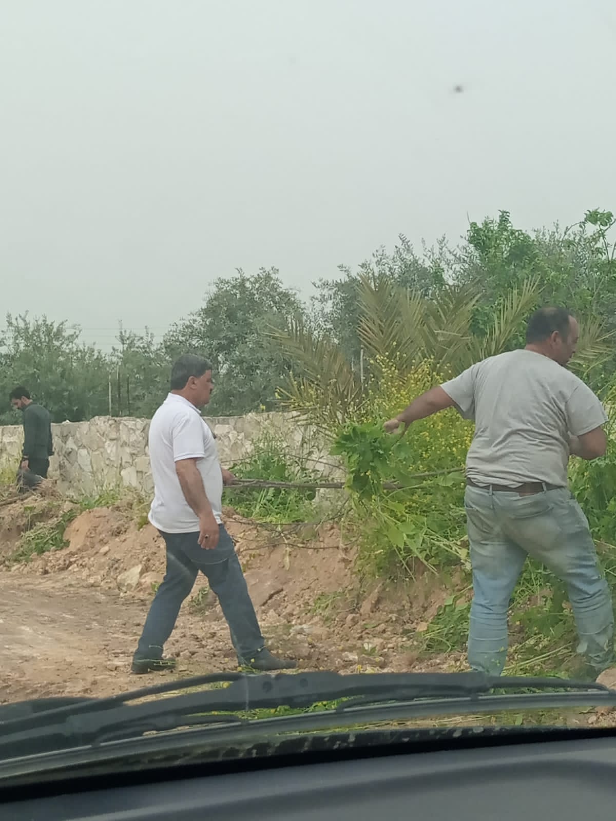 رئيس احدى بلديات اربد يشارك عمال الوطن في تنظيف اطراف الطرق 