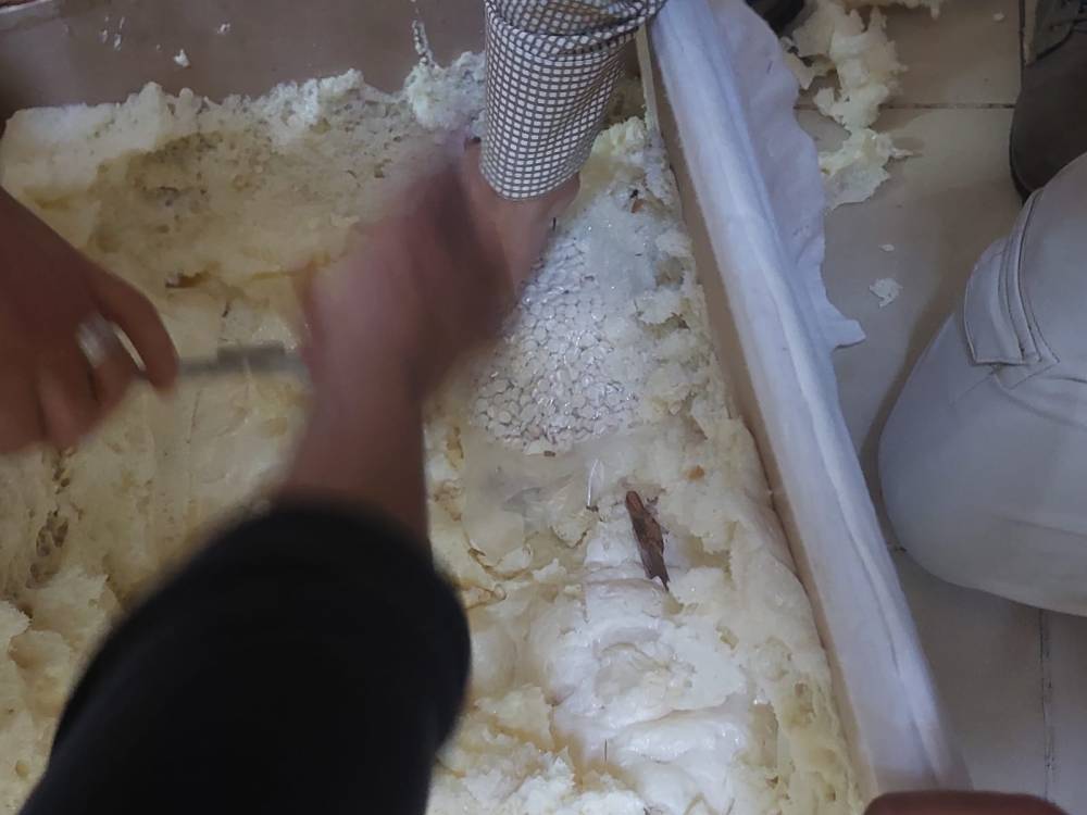  الجمارك الأردنية تحبط محاولة تهريب (238) كغم من حبوب المخدرات الكبتاجون