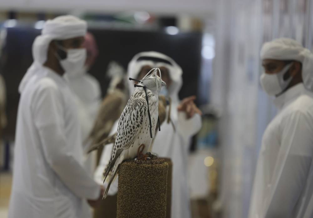 معرض أبوظبي الدولي للصيد وجهة صقاري العالم