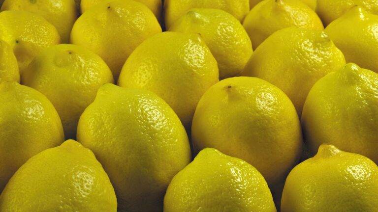 فتح باب استيراد الليمون اعتبارا من الإثنين