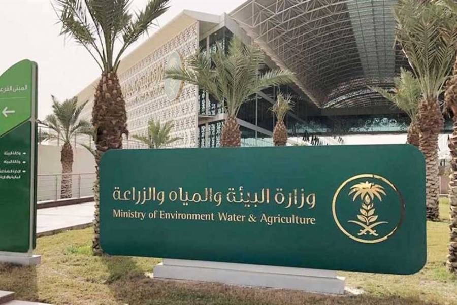 البيئة السعودية تطرح 4 فرص استثمارية لمشاريع زراعية وحيوانية بمكة والقصيم وجازان