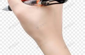 يسرى أبو عنيز تكتب : شيرين ابو عاقلة شهيدة الدفاع عن فلسطين