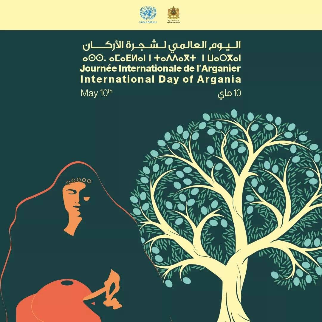 المغرب يحتفل باليوم العالمي لشجرة الأركان 2022