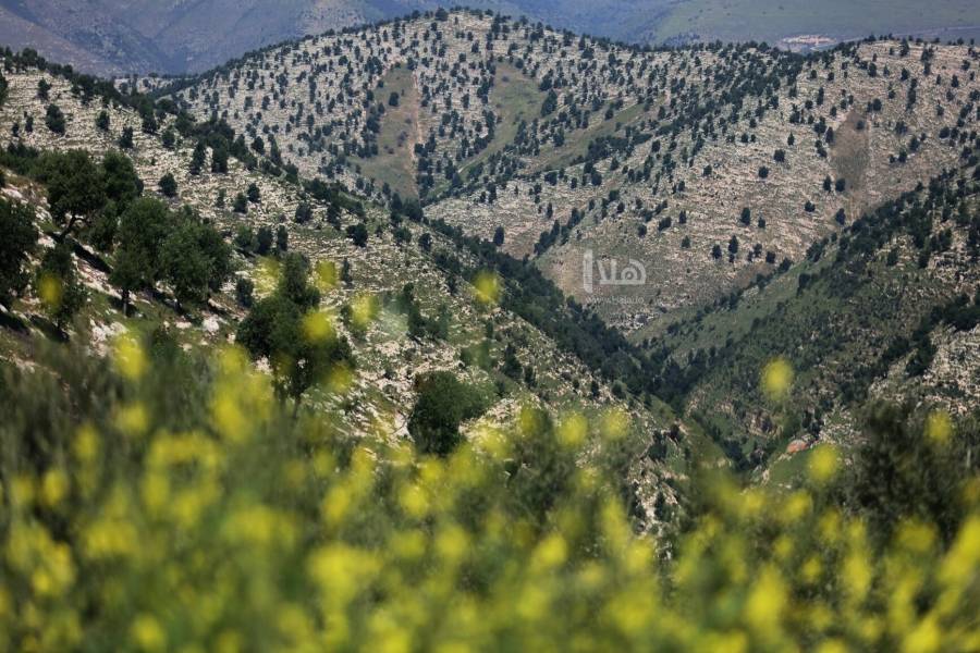 أجواء حارة نسبيا في معظم المناطق الجمعة