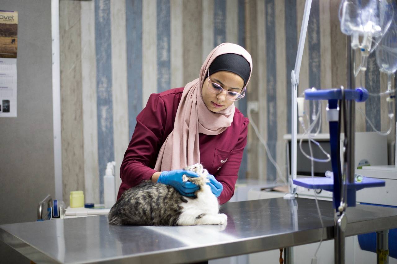 يونيسيف يمنح دعاء الفرصة لإنشاء عيادة بيطرية في جيل القصور