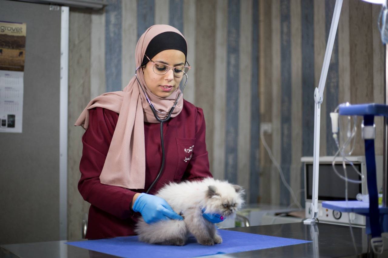 يونيسيف يمنح دعاء الفرصة لإنشاء عيادة بيطرية في جيل القصور