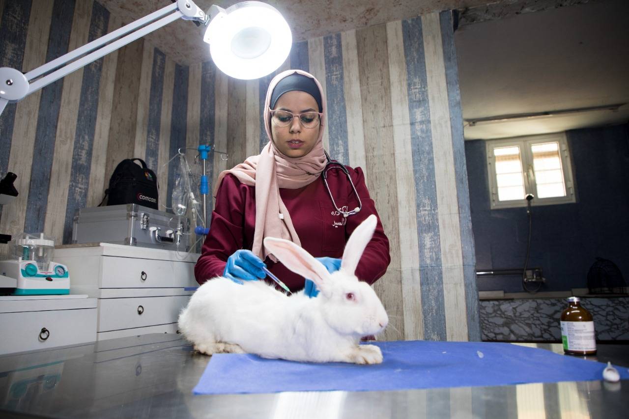 يونيسيف يمنح دعاء الفرصة لإنشاء عيادة بيطرية في جيل القصور