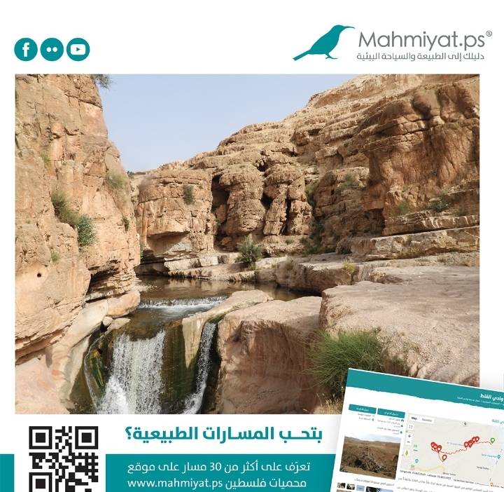 إطلاق موقع (محميات فلسطين) www.mahmiyat.ps      بنسخته الجديدة