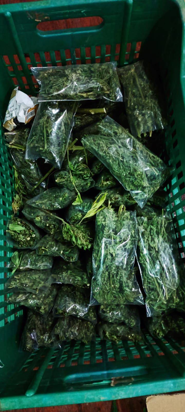 مكافحة المخدرات تضبط كميات كبيرة من المواد المخدرة خلال تعاملها مع اربع قضايا للاتجار والترويج .. تفاصيل 