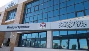 بيان هام من وزارة الزراعة حول نفوق أبقار في المفرق