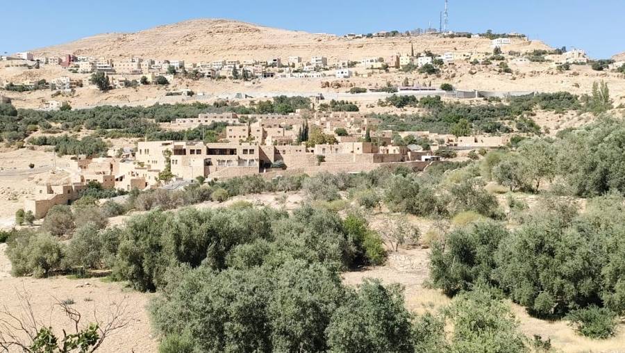 إنتشار للذباب والبعوض في مختلف مناطق لواءالبترا