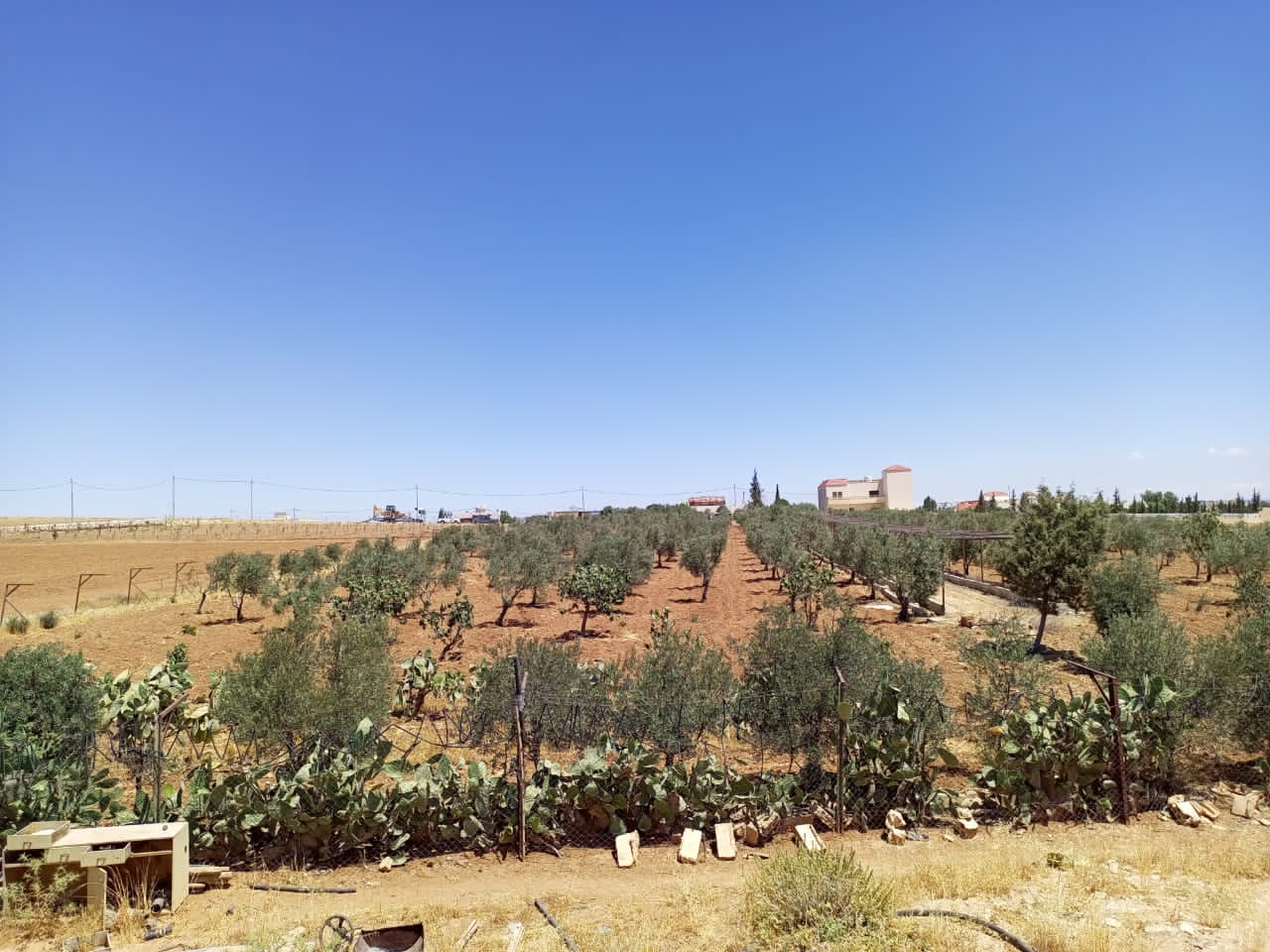 المياه : ضبط اعتداء يزود مزارع وبرك وتعبئة صهاريج  في مأدبا