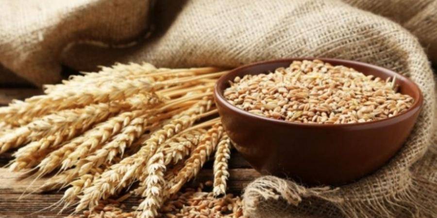 وزارة الاقتصاد الإماراتية  تصدر قراراً وزارياً بشأن وقف تصدير القمح ذي المنشأ الهندي لمدة 4 أشهر