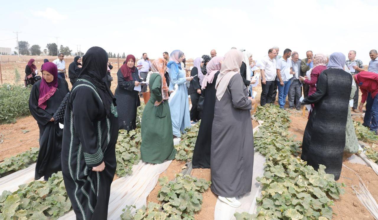 الوطني للبحوث الزراعية ينظم يوماً حقلياً في الرمثا حول الترويج لمحاصيل الخضار المتحملة للجفاف   