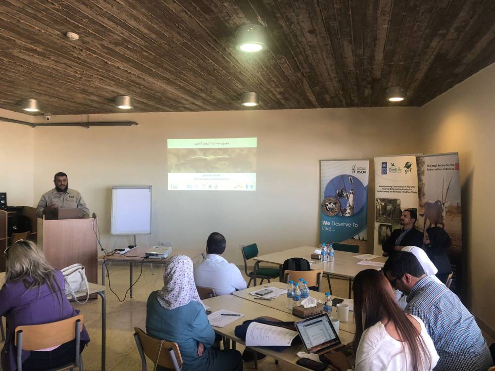 الملكية لحماية الطبيعة تطلق منهجاً تدريبياً حول مخاطر خطوط الطاقة على الطيور  