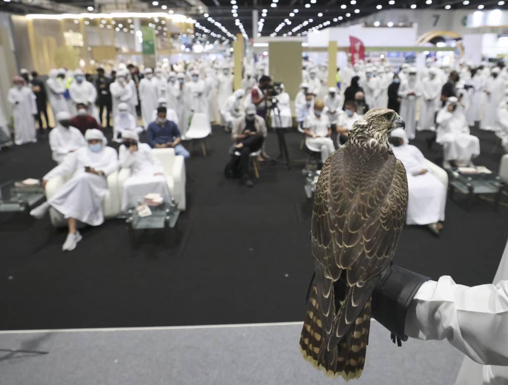 7 فئات في مزاد الصقور بمعرض أبوظبي الدولي للصيد 2022   لكلّ من الإنتاجين المحلي والدولي