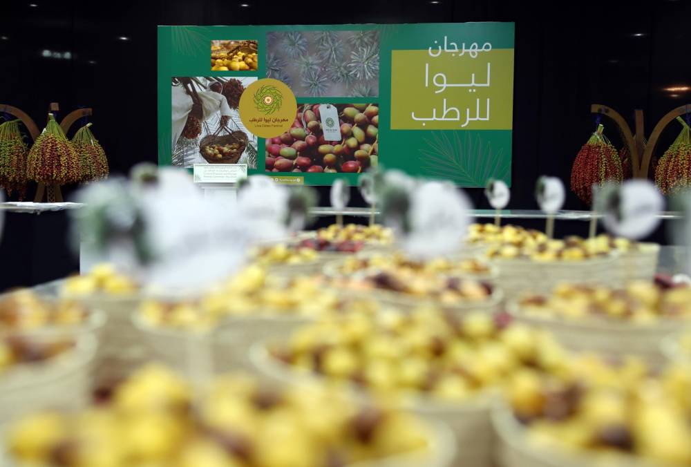 برعاية منصور بن زايد.. مهرجان ليوا للرطب بدورته الـ 18 ينطلق 16 يوليو