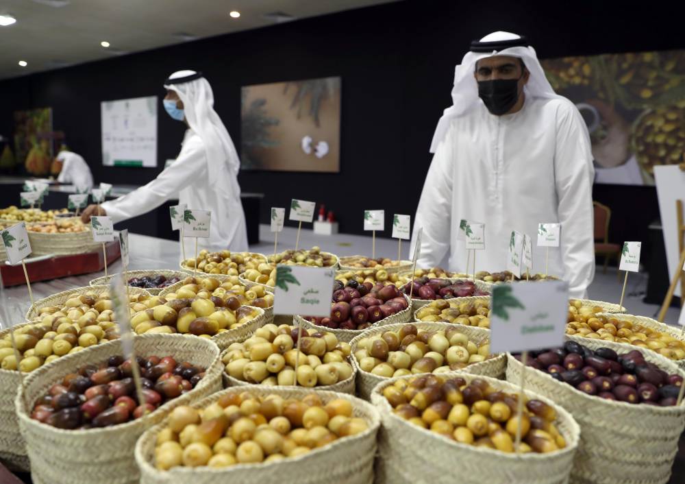 برعاية منصور بن زايد.. مهرجان ليوا للرطب بدورته الـ 18 ينطلق 16 يوليو