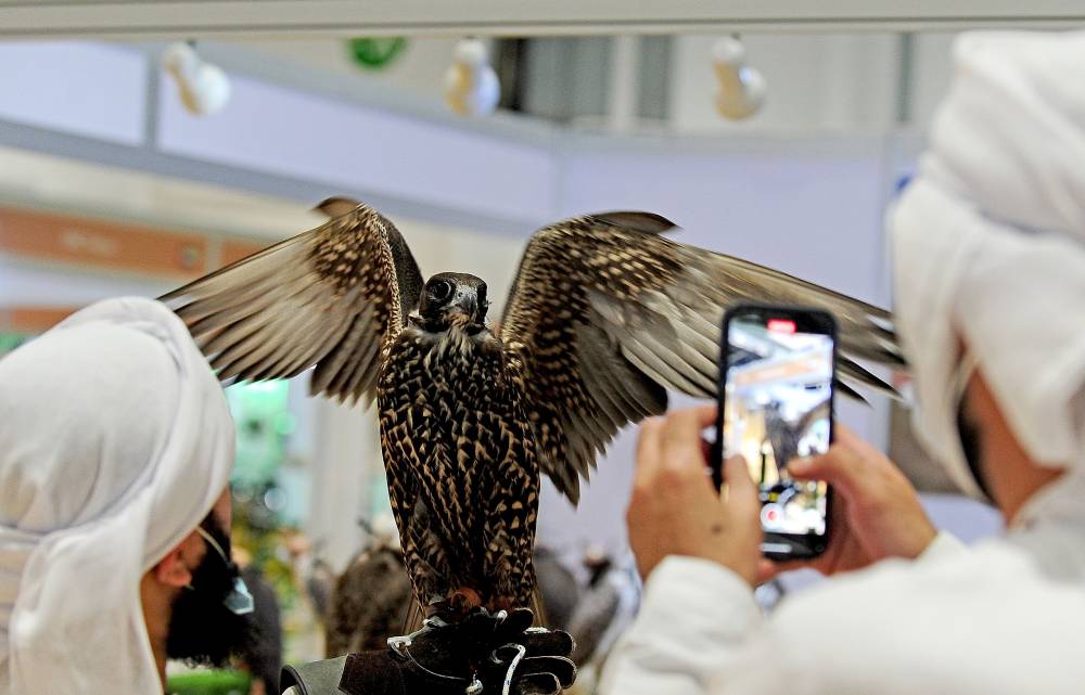 معرض أبوظبي الدولي للصيد والفروسية يُطلق مُسابقات تراثية وفنية مُتخصّصة