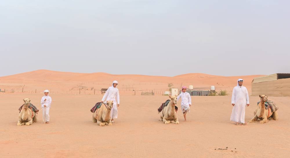 مركز العين الشبابي يختتم برنامج الهجن التراثي