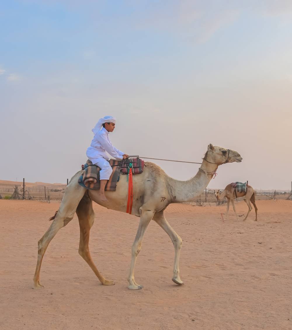 مركز العين الشبابي يختتم برنامج الهجن التراثي