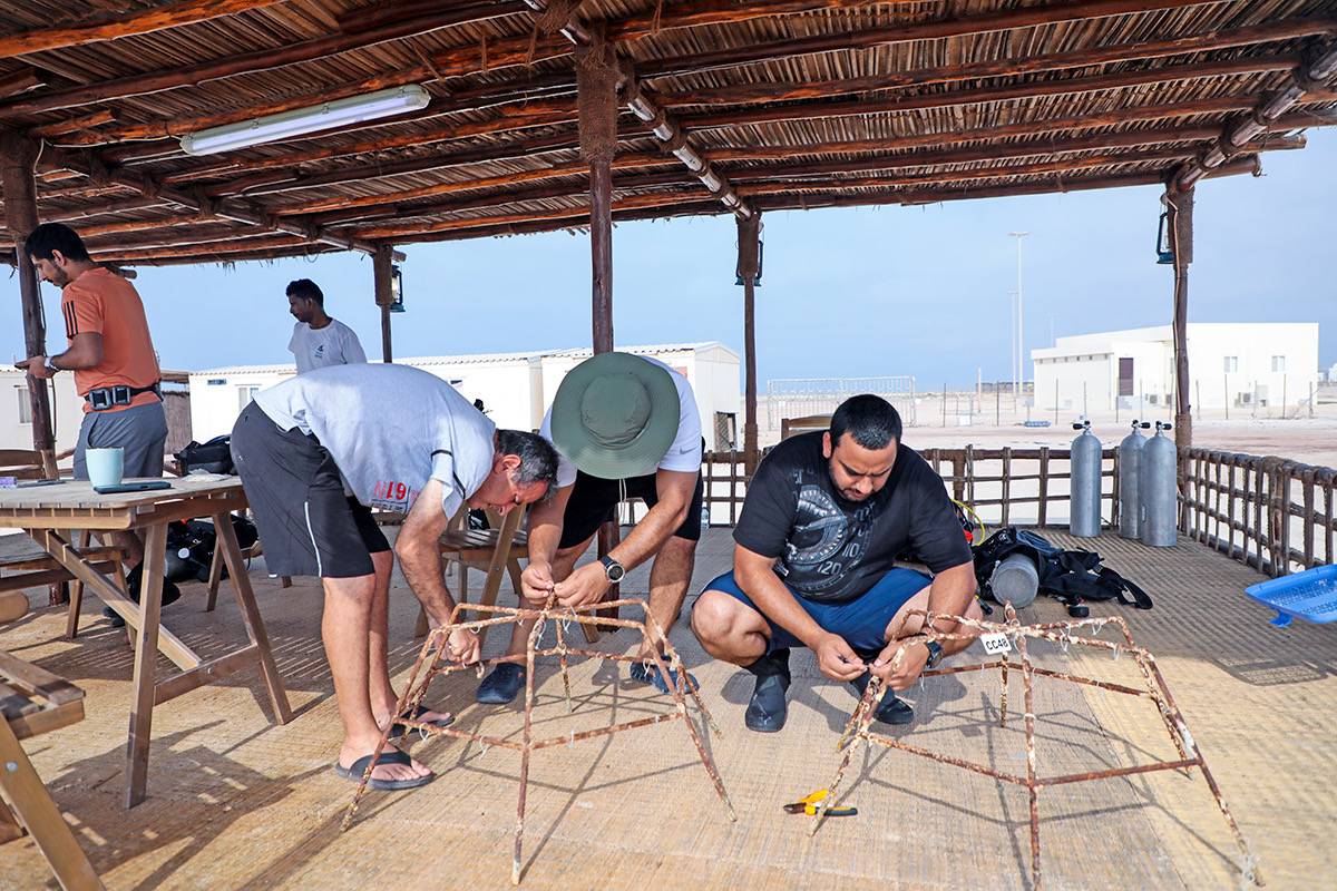 بيئة ومحميات الشارقة تنظم دورة تدريبية في مجال استزراع الشعاب المرجانية في جزيرة صير بونعير